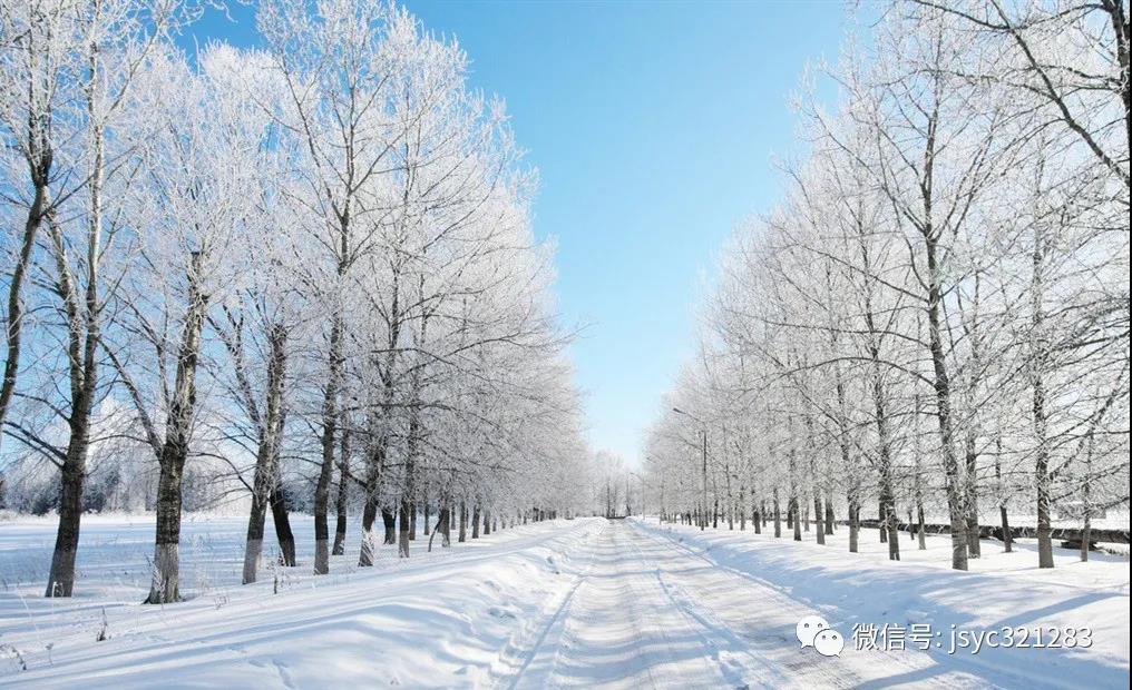 雪霞：這個冬季不怕冷
